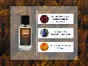 Amber Drift Notes.webp