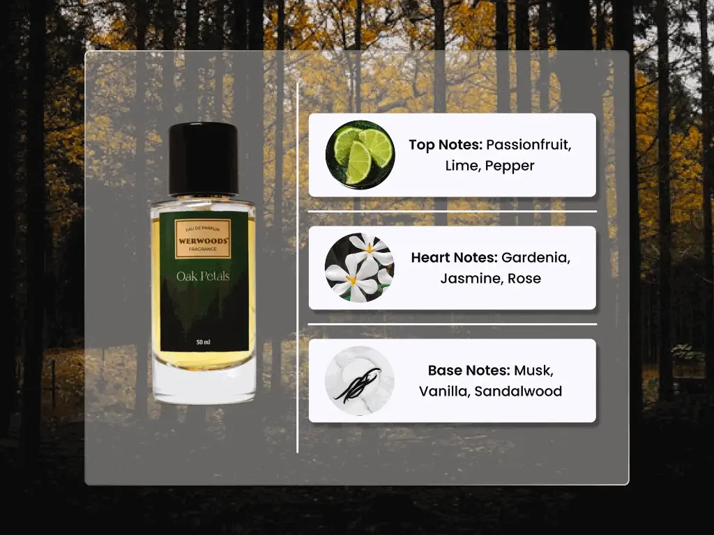 Oak Petal Notes.webp